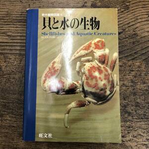 G-6027■貝と水の生物 野外観察図鑑（6）■生物図鑑 海洋図鑑■旺文社■1997年発行 重版