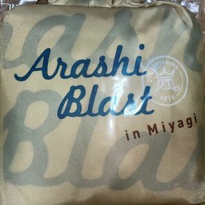 嵐 ARASHI BLAST in Miyagi ポンチョ