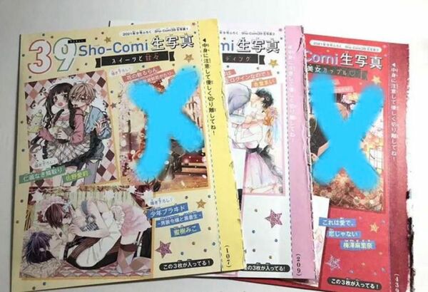 【即購入可能】Sho-Comi 2021年9号　付録生写真　セット