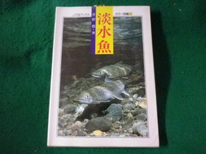 # пресноводная рыба JTB книжка скалярный иллюстрированная книга 5... Япония транспорт . фирма #FASD2023041111#