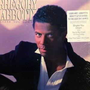 Gregory Abbott - Shake You Down（★盤面極上品！）