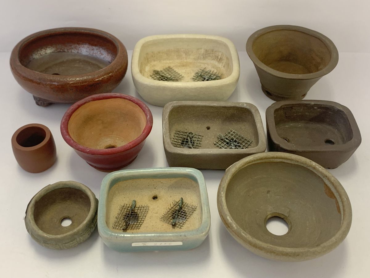 ヤフオク! -「丹‥」(鉢) (盆栽用具)の落札相場・落札価格