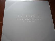 12インチ5枚　　LL COOL J / HEY LOVER / AIN'T NOBODY / PHENOMENON / 4,3,2,1 / RASTA IMPOSTER _画像5