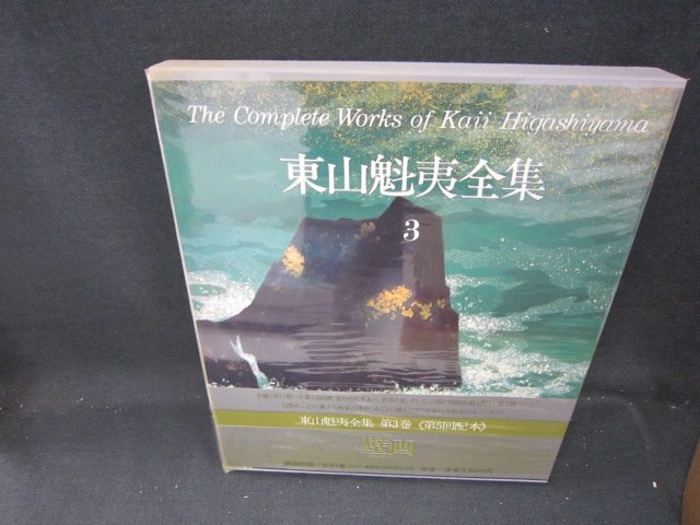 Higashiyama Kaii Complete Works 3 Mural stains and torn cover/IEZK, Painting, Art Book, Collection, Catalog