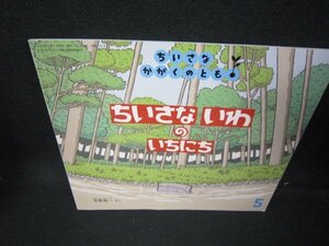 ちいさなかがくのとも　ちいさないわのいちにち/JAD