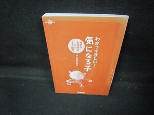 わかってほしい！気になる子　自閉症・ADHDなどと向き合う保育　カバー無/JCK