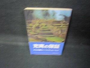 インカ帝国探検記　増田義郎　中公文庫　日焼け強/JCZD