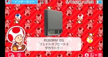 DS タカラトミー(TAKARA TOMY) 家庭教師ヒットマンREBORN ! DS フェイトオブヒートIII 雪の守護者 来襲!_画像3