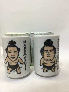 相撲 湯呑み 茶碗 日馬富士　琴奨菊　新品未使用