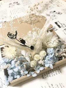 ma Caro n baby blue * material for flower arrangement assortment 