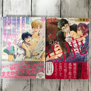 【BL 牛男】・君とはじめる青い間・堅気の馬鹿には敵わない