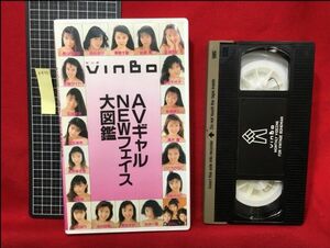 z435【VHS】アイドル【ビンボ　VINBO.22】【正規品・非レンタル】