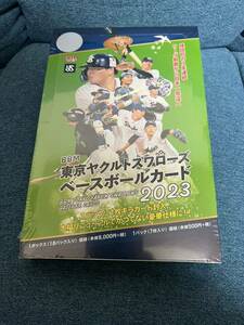 プロ野球 2023 BBM ヤクルト スワローズ 未開封品