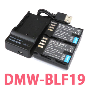 DMW-BLF19E DMW-BLF19 Panasonic 互換バッテリー 2個と充電器（USB充電式） 純正品にも対応 DMC-GH3 DMC-GH4 DC-GH5 DC-G9