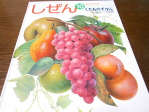 ★キンダーブックしぜん　『くだものずかん』　フレーベル館　指導・井上肇　絵・斎藤雅緒