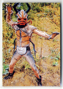 ◆防水対策 厚紙補強 カルビー 仮面ライダーチップスカード（1999 復刻版） 22番 地獄サンダー トレカ 即決