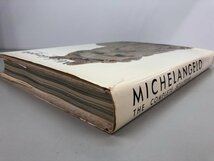 ▼　【Michelangelo The Complete Sculpture 日本語版 ミケランジェロ 1973年初版 久保尋二/訳 美…】146-02304_画像2