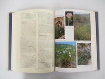 ▼　【全3巻揃 日本の野生植物 第1巻-第3巻 平凡社 1982年】108-02304_画像4