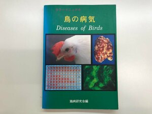 ★　【鳥の病気 カラーマニュアル　鶏病研究会編　平成7年　1995年】143-02304