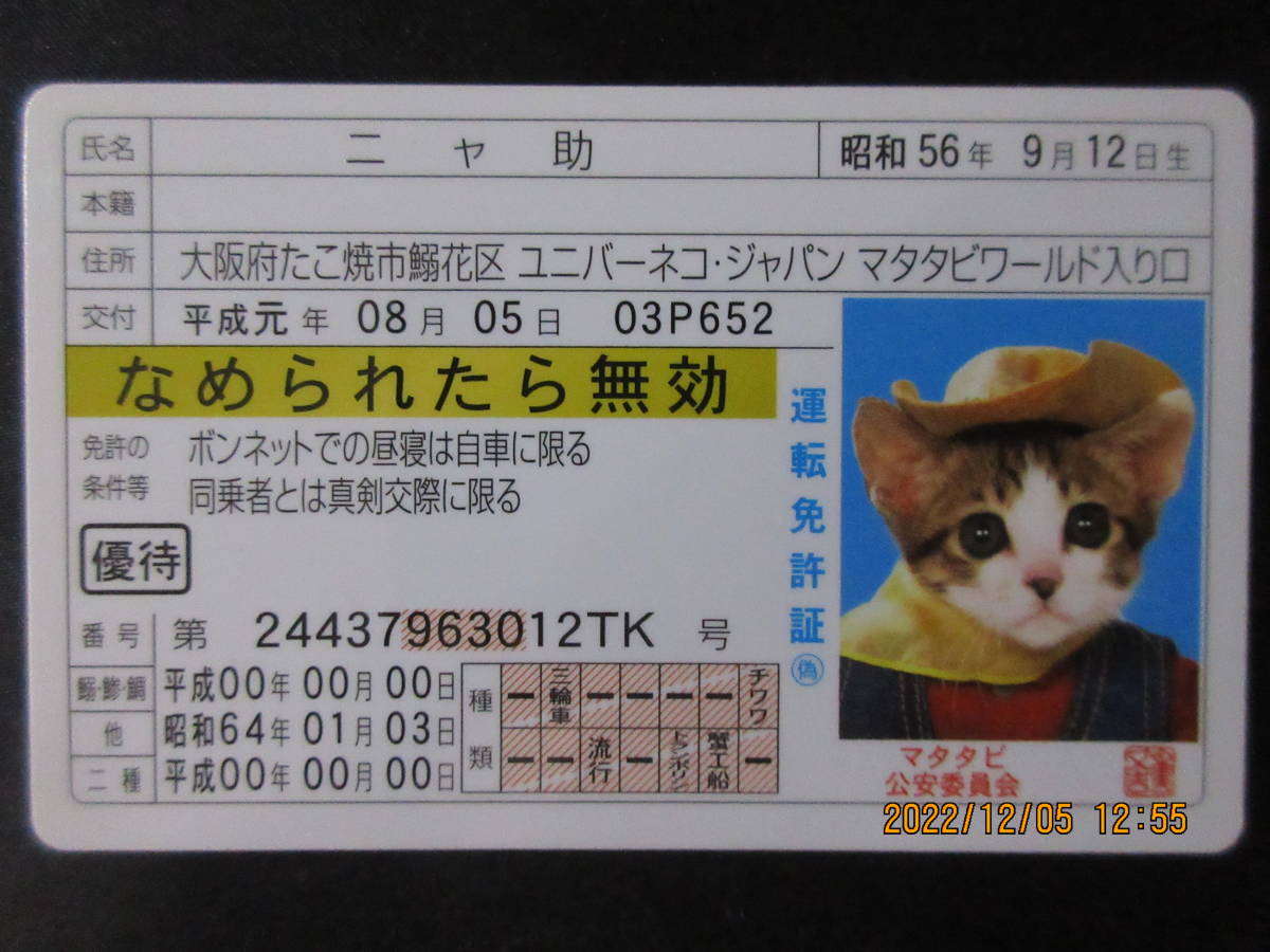 ヤフオク! -「なめ猫 免許証」(トレーディングカード) の落札相場 