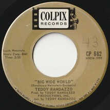 Teddy Randazzo Big Wide World / Be Sure My Love Colpix US CP 662 202152 ROCK POP ロック ポップ レコード 7インチ 45_画像1