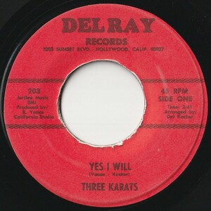 Three Karats Yes I Will / It's You Del Ray US 203 202155 SOUL ソウル レコード 7インチ 45