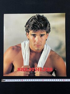 j*8 старый календарь 1985 год BREATHLESS LANDMARK CALENDARS/N-E04