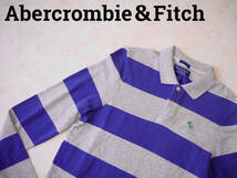 ☆送料無料☆ Abercrombie＆Fitch アバクロンビー&フィッチ アバクロ 古着 長袖 ムースロゴ ボーダー ポロシャツ メンズ M パープル 中古_画像1