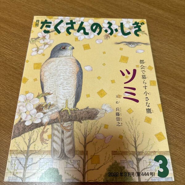 たくさんのふしぎ ２０２２年３月号 （福音館書店）