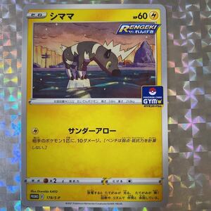 シママ [PROMO 178/S-P] [HP60 雷タイプ] ポケモンカードジム　POKEMON CARD GYM 公式スリーブ付き　ポケモンカードゲーム