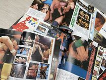 週刊ゴング 増刊号 週刊プロレス 17冊 まとめて ジャイアント馬場 アントニオ猪木 ジャンボ鶴田 三沢 蝶野 天竜 ベイダー 川田 即日配送_画像9