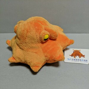 カロラータ 沼津港深海水族館 メンダコ リアルシリーズ ぬいぐるみ シーラカンスミュージアム Flapjack Octopus COLORATA