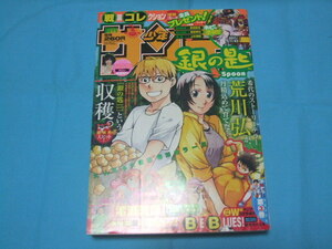 ★ Используется ■ Еженедельный Shonen в воскресенье 2011 № 50 ■ Покрытие цвета серебряная ложка/Rino Sashihara