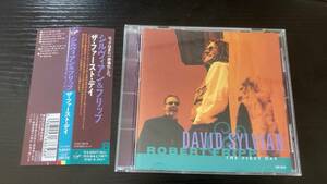 DAVID SYLVIAN and & ROBERT FRIPP THE FIRST DAY 国内盤CD デヴィッド・シルヴィアン アンド ロバート・フリップ ザ・ファーストデイ