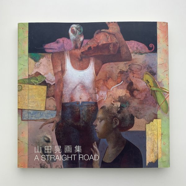 Akira Yamada Kunstsammlung EINE GERADE STRASSE 2007 y00815_2-a5, Malerei, Kunstbuch, Sammlung, Kunstbuch