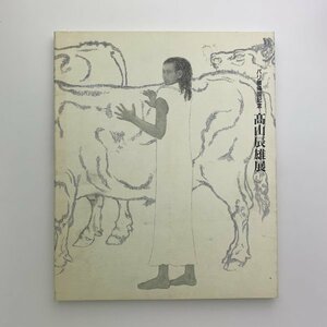 Art hand Auction Zur Erinnerung an die Rückkehr des Künstlers zur Pariser Ausstellung, Takayama Tatsuo-Ausstellung, 1996, Mitsukoshi y00895_2-b5, Malerei, Kunstbuch, Sammlung, Katalog