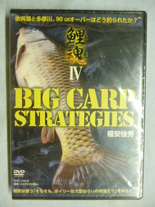 DVD■鯉魂 Ⅳ BIG CARP STRATEGIES 福安佳秀■未開封■鯉魂 4 コイ釣り 余呉湖 多摩川 ボイリー つり人社 釣り フィッシング