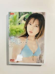 井上望（いのうえのぞみ）ＤＶＤ　花蓮