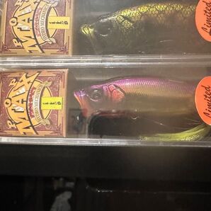Megabass popmax タマムシ