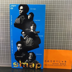 同梱OK●【8cmシングルCD/8センチCD♯106】SMAP/スマップ『たぶんオーライ』(1994年)フジテレビ「夢がMORI MORI」テーマ