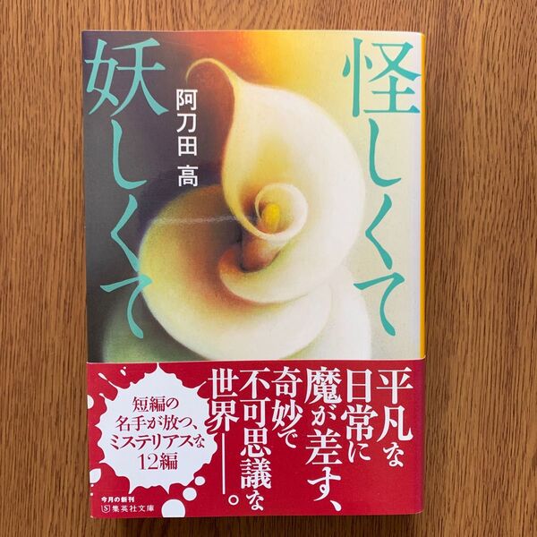 怪しくて妖しくて （集英社文庫　あ１３－１５） 阿刀田高／著