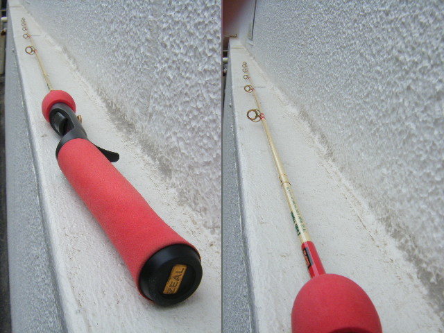 ZEAL Push Water Super AMAZONASカシワギ66H 美品 | tspea.org