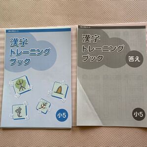 未記入美品 Z会 小学校5年生 漢字トレーニングブック 答えを含む