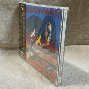 BLACKFOOT - MEDICINE MAN 国内初版 日本盤 VICP123 promo 未開封新品 廃盤 レア盤の画像4