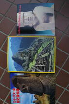 (BM005) イースター島 巨石像物語、インカ・マヤ・アステカ展、謎のメキシコ文明を探る展　3冊セット (モアイ テオティワカン ミイラ)_画像1