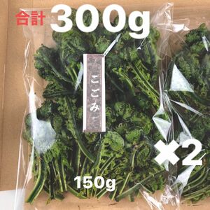 こごみ【新潟県十日町市産】前処理済み300g(150g*2)