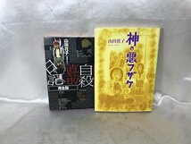 漫画家 山田花子 自殺直前日記 完全版 神の悪フザケ 2冊セット_画像1