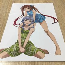 ダンジョンに出会いを求めるのは間違っているだろうか　艦これ　ラミネート　A4 サイズ　Dはと_画像2