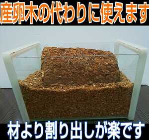 クワガタ幼虫の餌、産卵木の代わりに！椎茸廃菌床5ブロック☆発酵マットに埋め込むと栄養強化になりカブト幼虫がサイズアップ！クヌギ100％