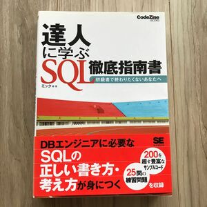 達人に学ぶＳＱＬ徹底指南書　初級者で終わりたくないあなたへ （ＣｏｄｅＺｉｎｅ　ＢＯＯＫＳ） ミック／著